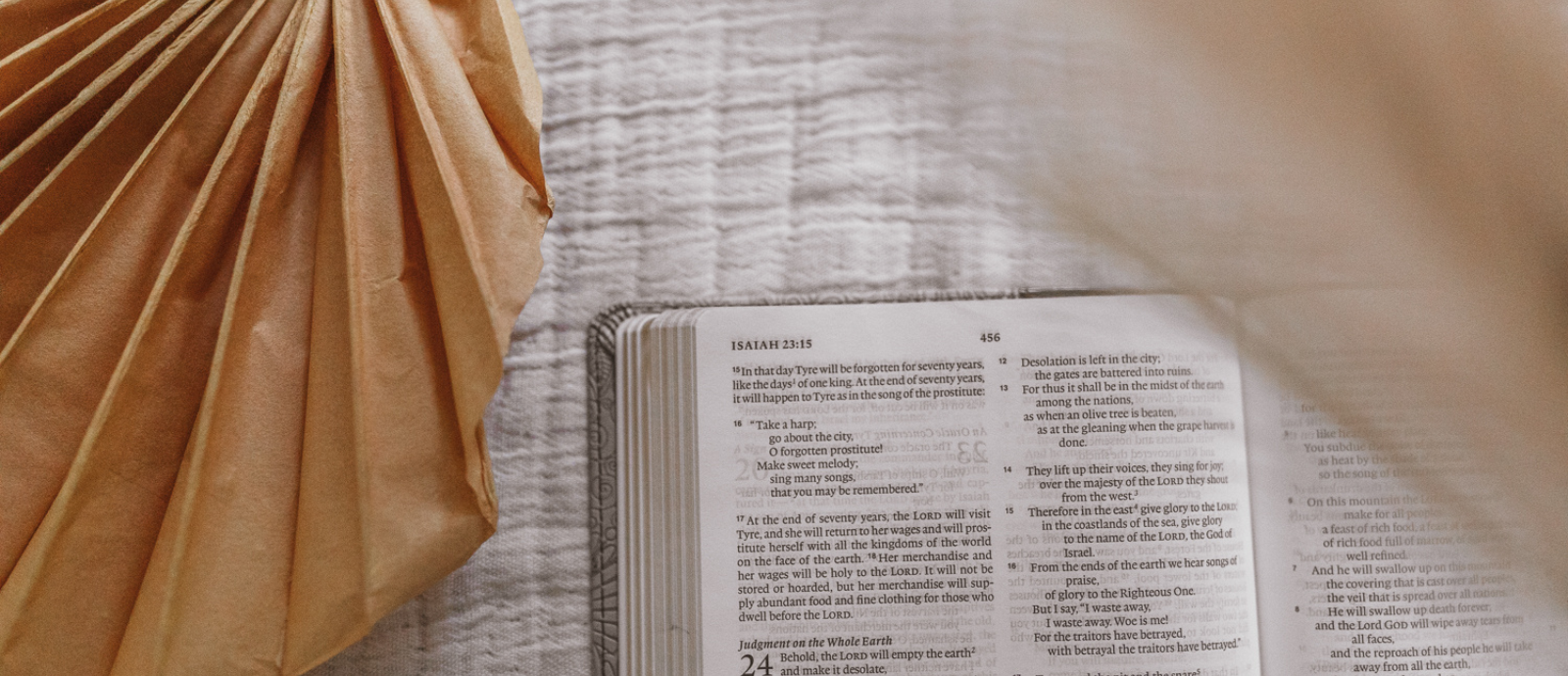 Women's Sunday Afternoon Summer Bible Study