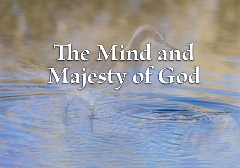 The Mind and Majesty of God