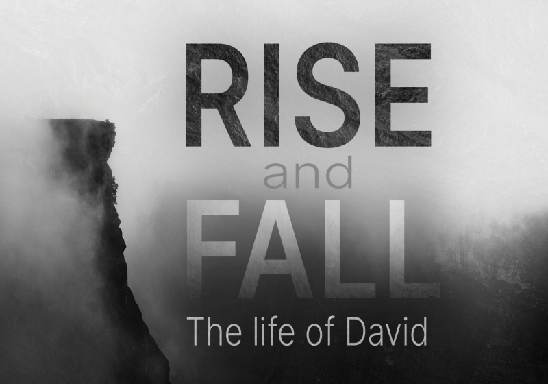 Rise and Fall: Life of David